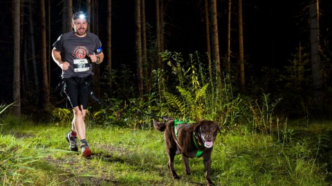 Le Cani-Raid du Parc des Appalaches JPRB est de retour !