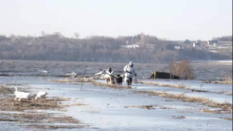 Collaboration des chasseurs demandée