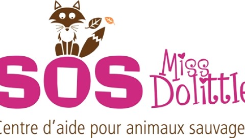 Soirée country au profit du centre d'aide pour animaux sauvage SOS Miss Dolilttle