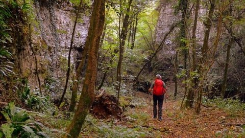  La Sûreté du Québec invite à la prudence lors des excursions en milieux isolés