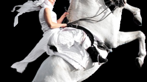Spectaculaire performance internationale pour La Luna Caballera