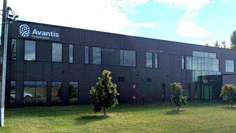 Avantis vise 85 000 $ pour soutenir la santé des producteurs et des familles