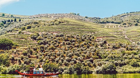 Regard sur le Portugal 