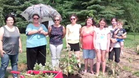 Un jardin communautaire sur la rue Côté à Montmagny