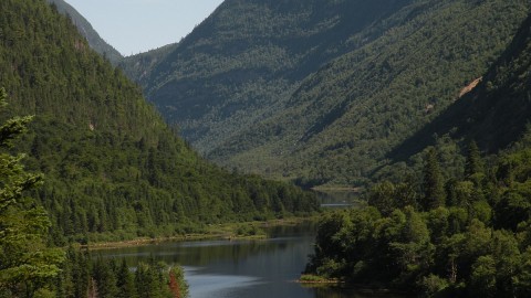 Des travaux d’inventaire forestier dans les forêts publiques et privées dans plusieurs régions du Québec