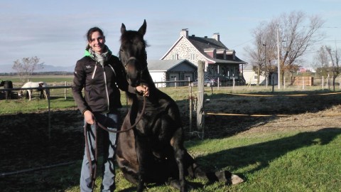 UNE 2e PLACE POUR UNE JEUNE FEMME DE SAINT-FRANÇOIS AU DÉFI HORSEMANSHIP DU QUÉBEC