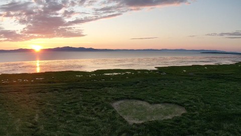 Pas de labyrinthe à La Pocatière,  mais le cœur de Kamouraska dans le phragmite!