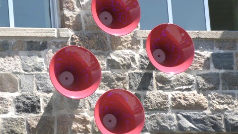 LES CORNETS ROUGES