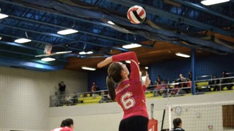 Volleyball féminin: La patience est de mise pour les Gauloises