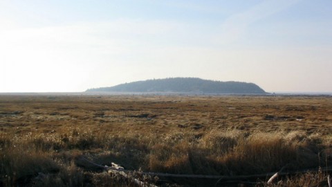 Une analyse recommande un recul partiel de l’aboiteau impliquant une perte d’environ 14 hectares de terres agricoles