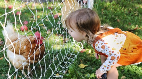 	            	Mangeons local : deux fermes ouvrent leurs portes pour faire découvrir l’agriculture d’ici	            