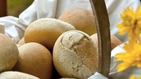 PLUS DE 1 250 GOURMANDS À LA FÊTE DU PAIN