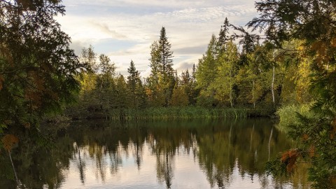 LANCEMENT DE LA 2E PHASE D’UN PROJET DE CONSERVATION VOLONTAIRE DE MILIEUX HUMIDES D’INTÉRÊT DANS LA MRC DE L’ISLET 