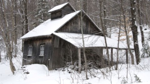 Petites cabanes à sucre recherchées pour un film