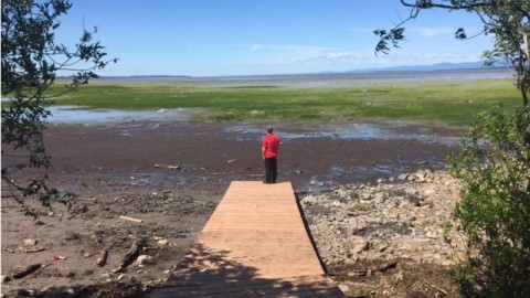 Revitalisation à la halte municipale de Cap-Saint-Ignace et ajout d'un quai flottant