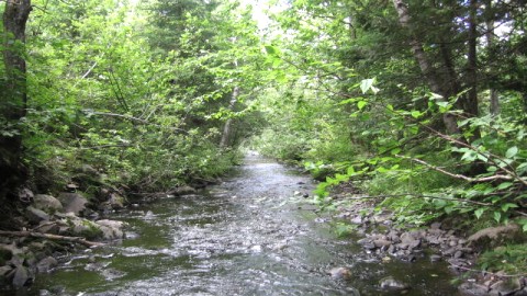 FORUM RÉGIONAL SUR L'EAU EN CHAUDIÈRE-APPALACHES