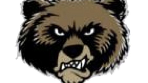 LES GRIZZLYS S'INCLIENT EN DEMI-FINALE