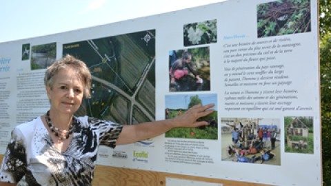 Le Méandre dévoile ses charmes à Saint-Roch-des-Aulnaies