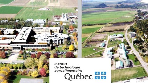 L'Institut de technologie agroalimentaire souligne le mérite de ses étudiants