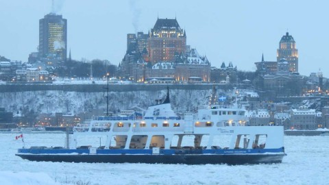 Bateau coincé dans le fleuve Saint-Laurent : la Davie est proposée comme solution