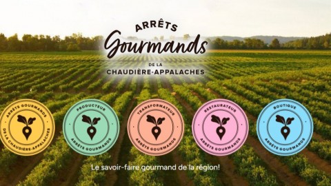 Les arrêts gourmands de la Chaudière-Appalaches présentent une nouvelle plateforme