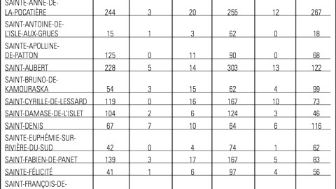 RÉSULATS DU SCRUTIN DANS CHAQUE MUNICIPALITÉ