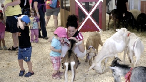 Expo provinciale Montmagny Une grande fête rassembleuse!