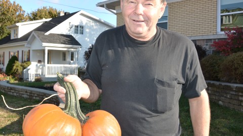Citrouilles siamoises