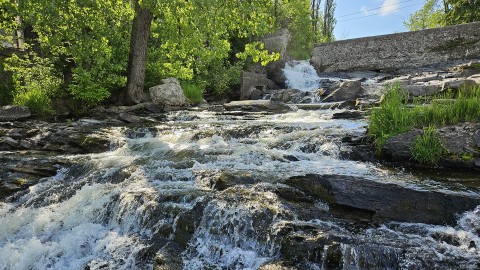 	            	Le barrage de la rivière Trois Saumons sera détruit au cours de l’été 	            