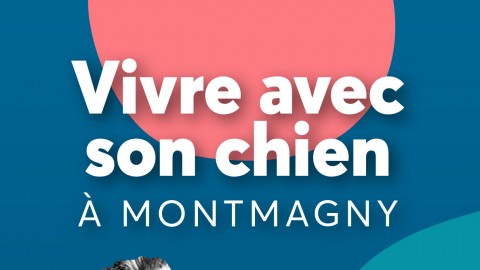 Les propriétaires de chiens de Montmagny sont invités à se procurer leurs licences 2022