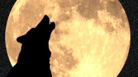 Un vendredi 13 concordant avec un soir de pleine lune, aujourd'hui 13 Juin 2014