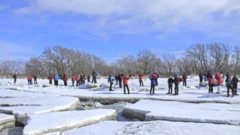 Belle excursion sur le fleuve entre Montmagny et Cap-Saint-Ignace