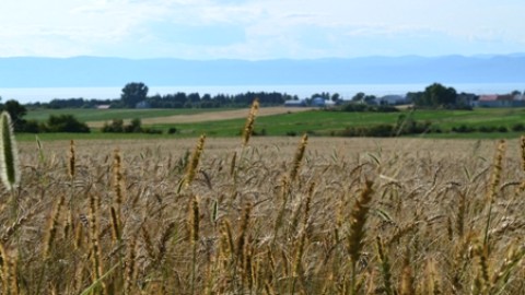 La MRC de L'Islet élabore son plan de développement de la zone agricole