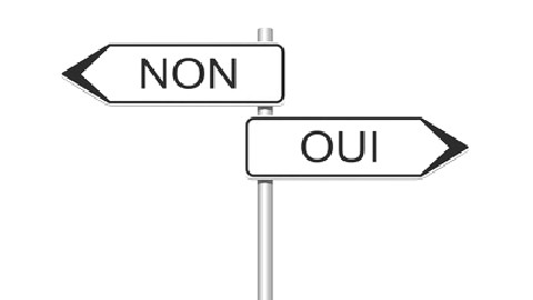 QUI POURRA VOTER LE 2 DÉCEMBRE?