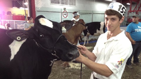 Les organisateurs satisfaits de la première fin de semaine de l'Expo provinciale de Montmagny