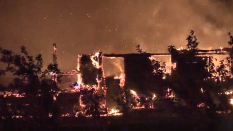 	            	Un incendie ravage une ferme familiale à Mont-Carmel	            
