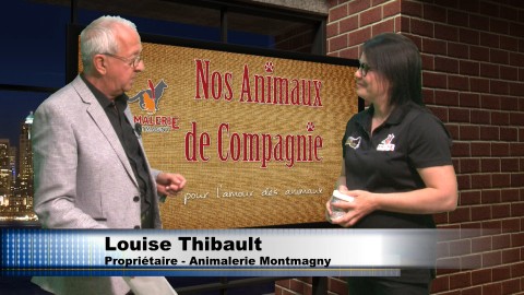 Chronique - Nos animaux de compagnie - 12 juin 2018