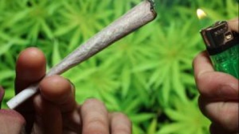 Présentéisme et cannabis, deux sujets brûlants pour la CSN