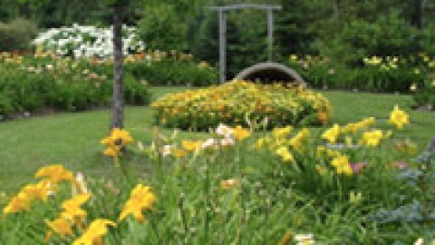 La Société d'horticulture et d'écologie de Montmagny reçoit Claude Quirion 