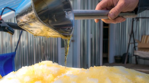 La Fête des Sucres de Saint-Aubert arrive à grands pas