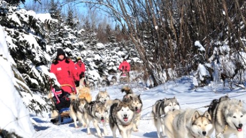 Découvrir un héritage du Grand Nord