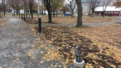 Vague de vandalisme à Montmagny