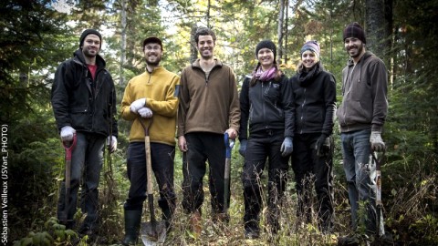 5 500 ARBRES ONT ÉTÉ PLANTÉS AU DOMAINE DE GASPÉ