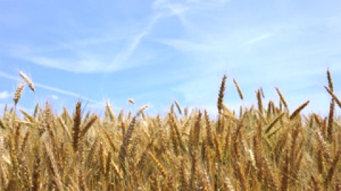 5e SALON DE L'ÉTABLISSEMENT EN AGRICULTURE DE CHAUDIÈRE-APPALACHES