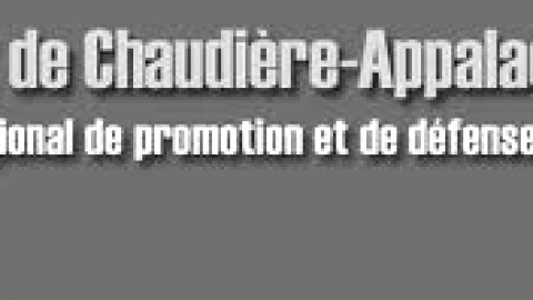 Un bénévole de Lévis gagne le prix « Jeune bénévole Prix Claude-Masson ». L'A-DROIT souligne l'engagement de Carl Sansfaçon