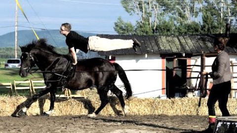 La Centaurée tire un bilan positif de son festival Cirque en Fleuve 2015