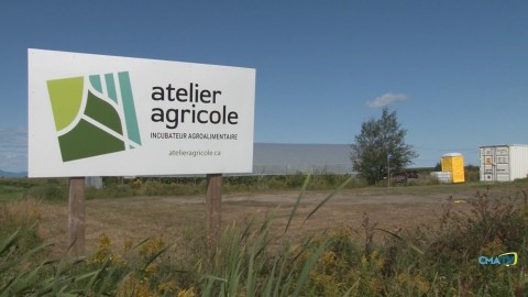 L’Atelier agricole est en plein recrutement de nouveaux incubés!