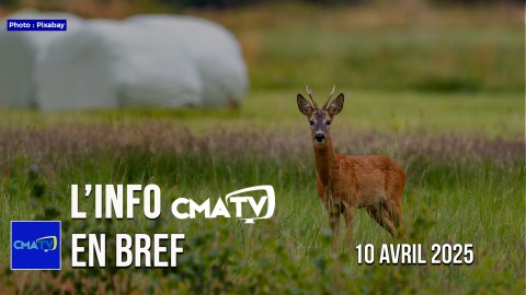 L'Info CMATV en bref du 10 avril 2025