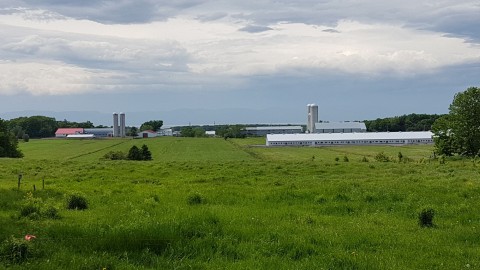 «Plus d’échanges pour moins de pesticides» pour le réseau de productrices et producteurs bio-conventionnel de la Chaudière-Appalaches, du Bas-Saint-Laurent et de l’Estrie