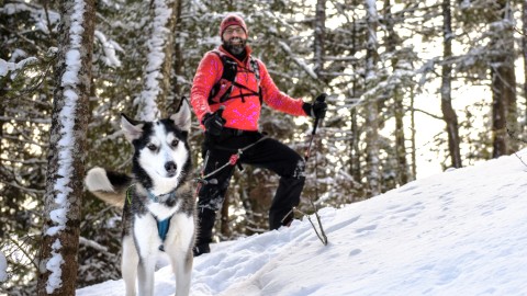 Le Parc des Appalaches, une référence en matière de tourisme canin